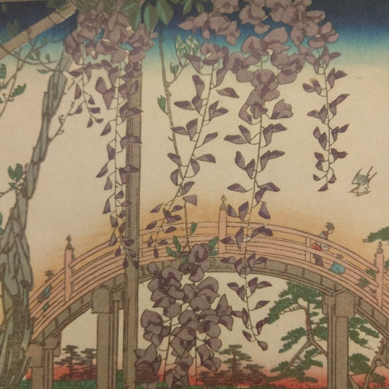 亀戸天神境内 / Wistaria at Kameido Tenjin Shrine / K