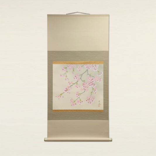 桜花　Cherry Blossom/s