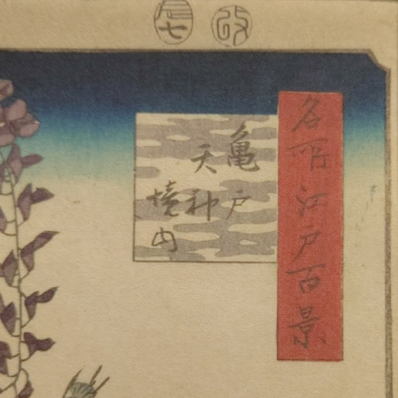 亀戸天神境内 / Wistaria at Kameido Tenjin Shrine / K