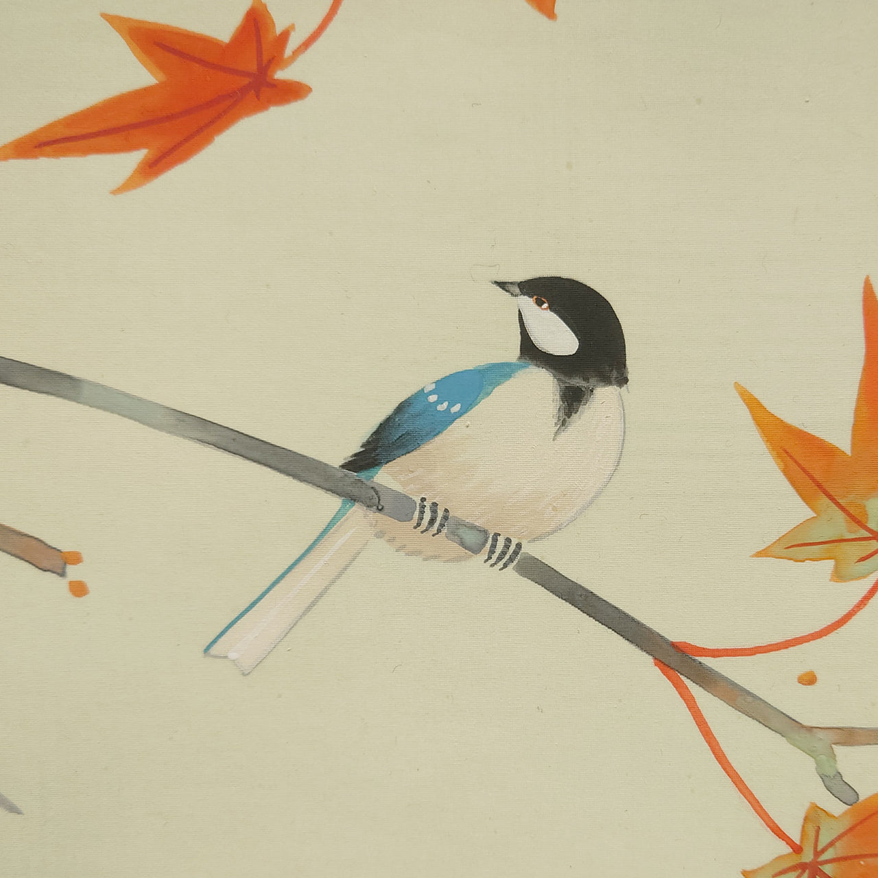 紅葉に四十雀　Red maple and Japanese Tit　/　K