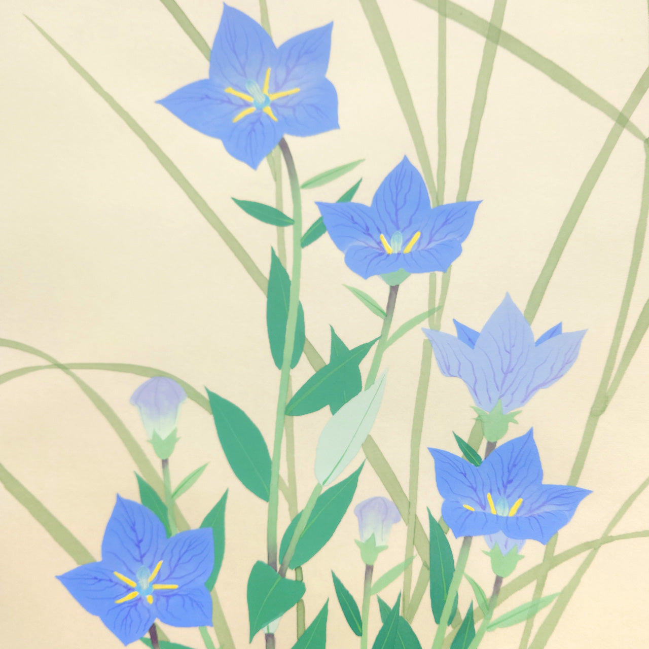 秋花　Flowers of Autumn　/　K