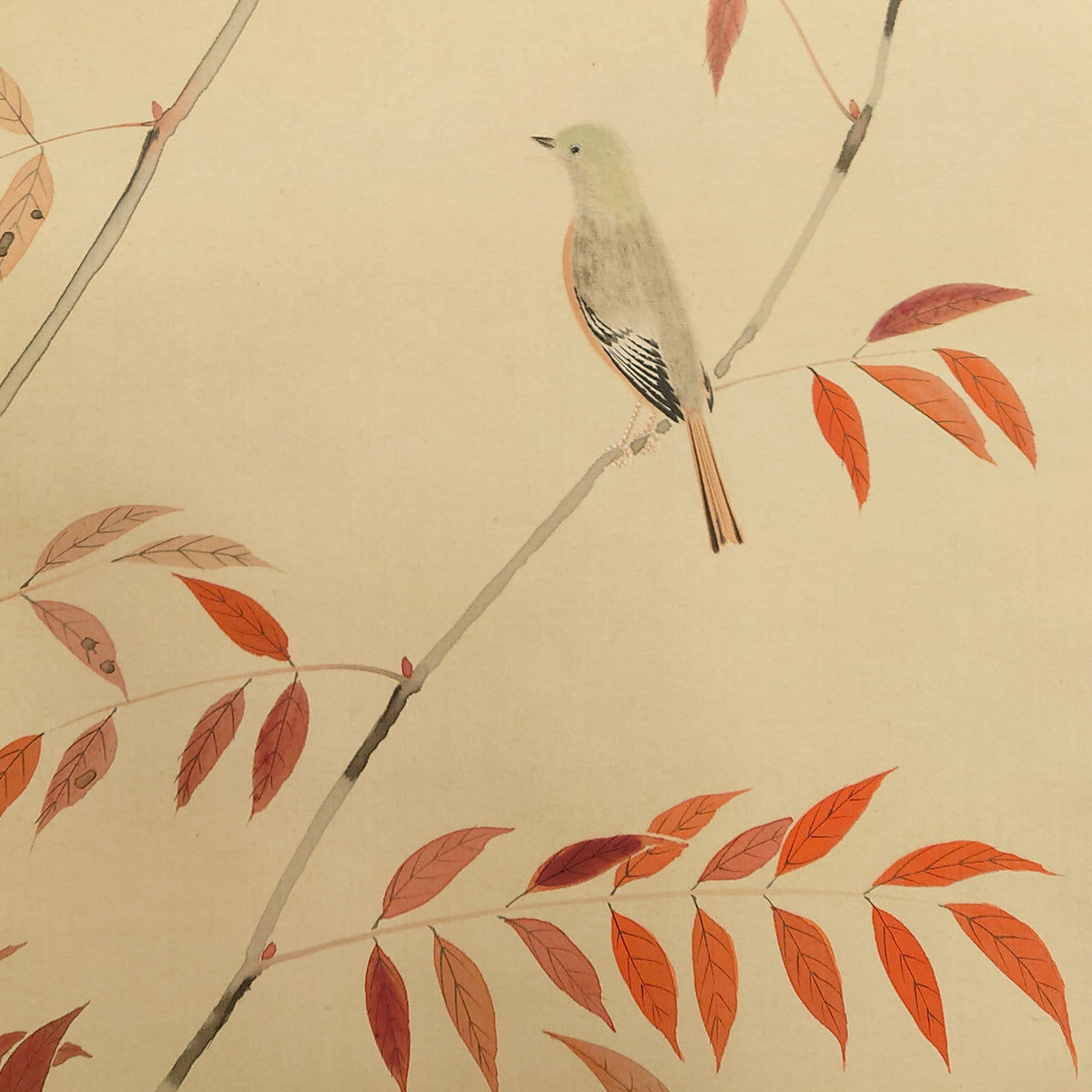 秋色小禽 / Autumn Bird and Red Leaves