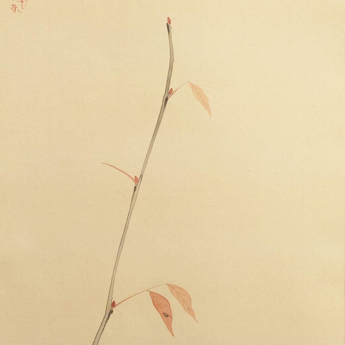 秋色小禽 / Autumn Bird and Red Leaves