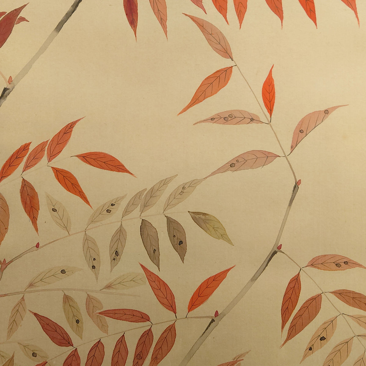 秋色小禽 / Autumn Bird and Red Leaves