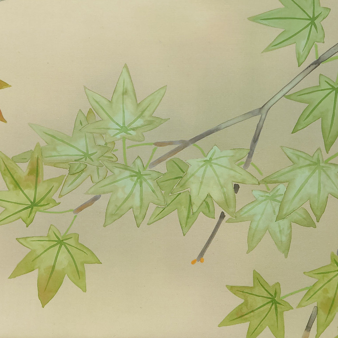 青椛に四十雀　Green maple and Japanese Tit　/　K