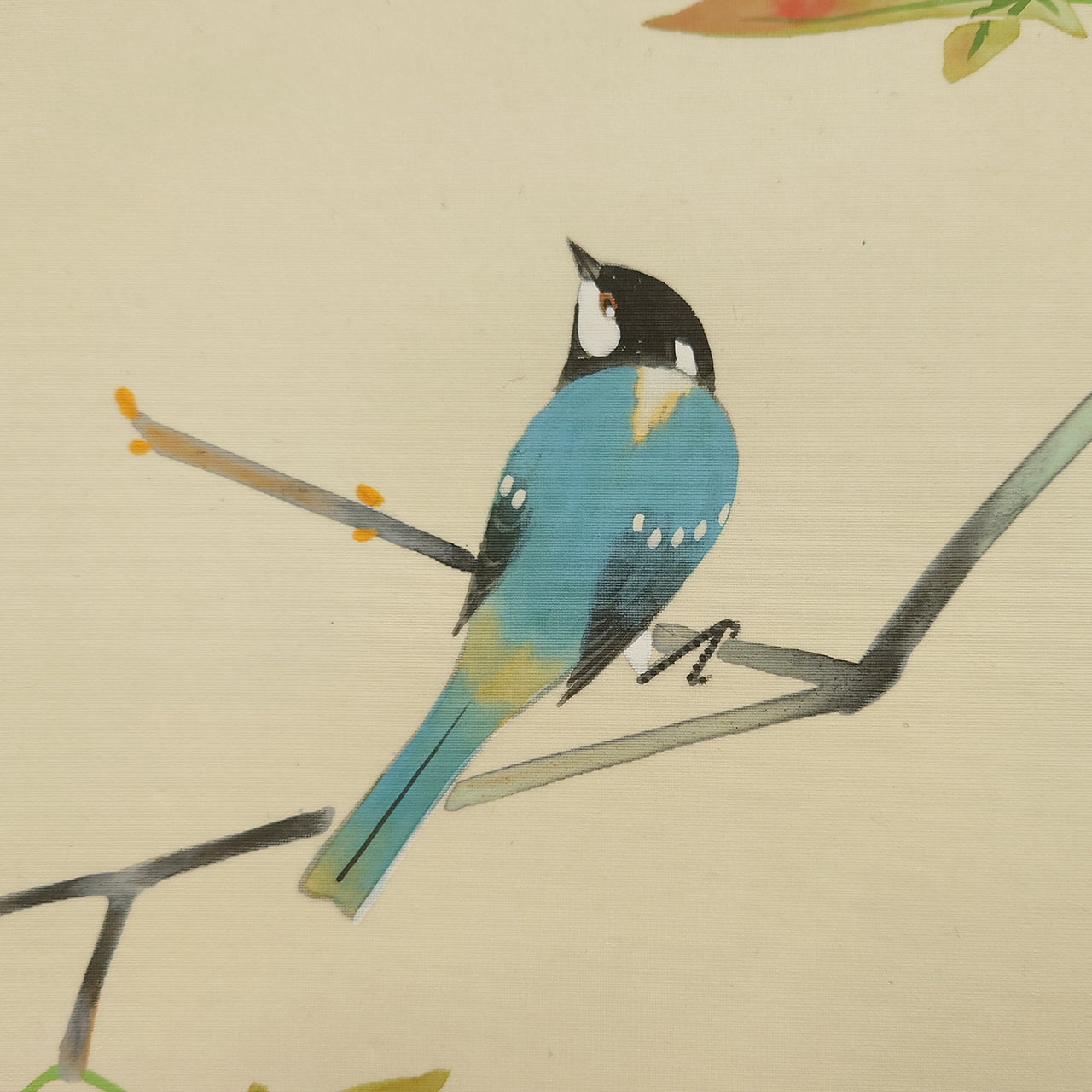 青椛に四十雀　Green maple and Japanese Tit　/　K