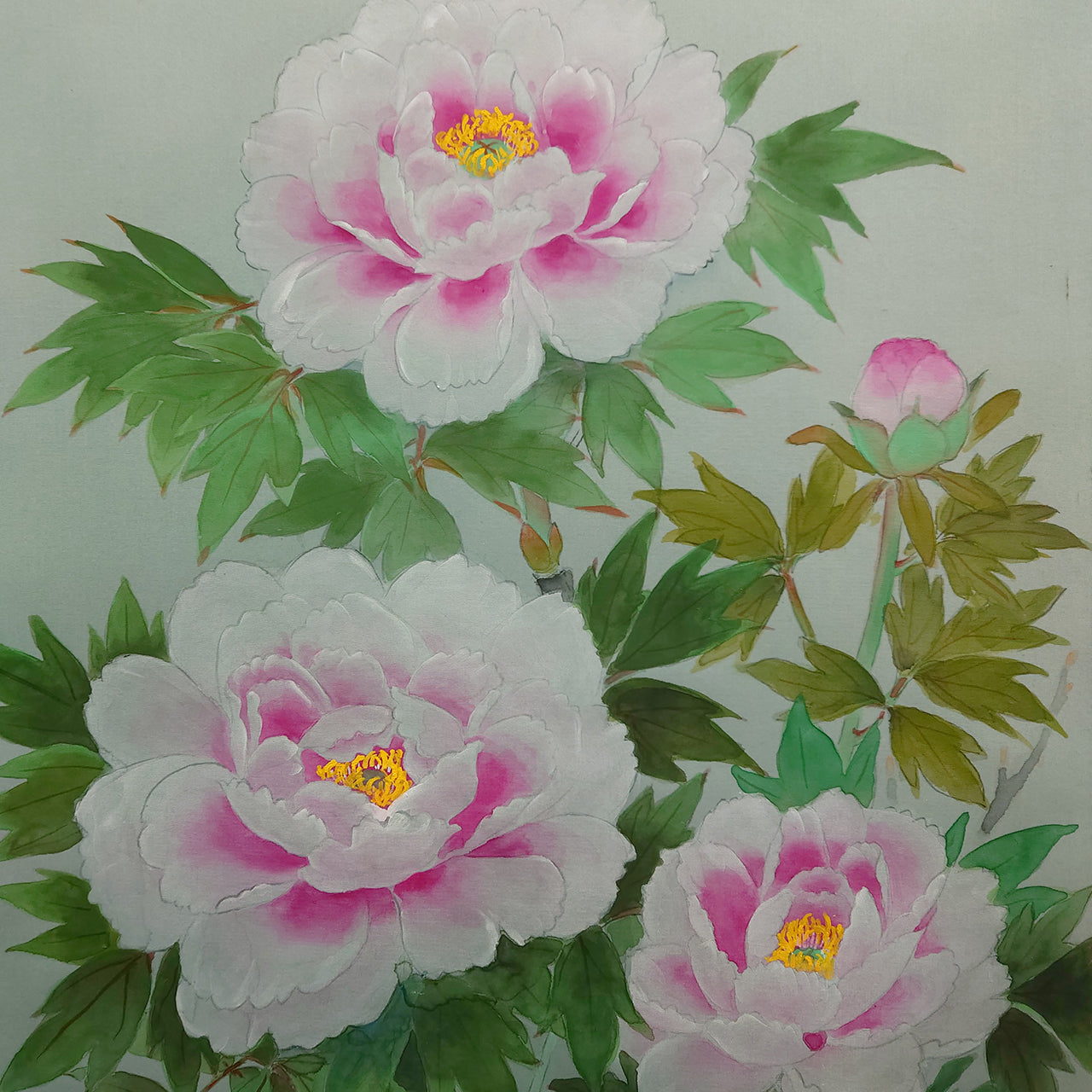 牡丹　Peony blossom
