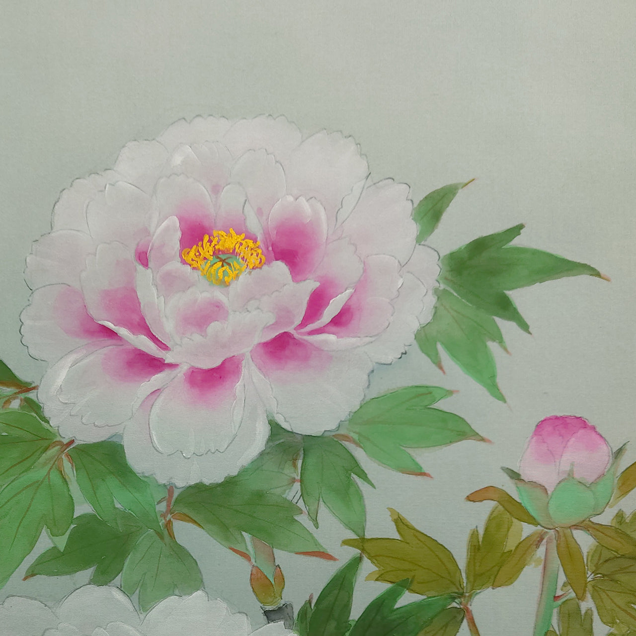 牡丹　Peony blossom