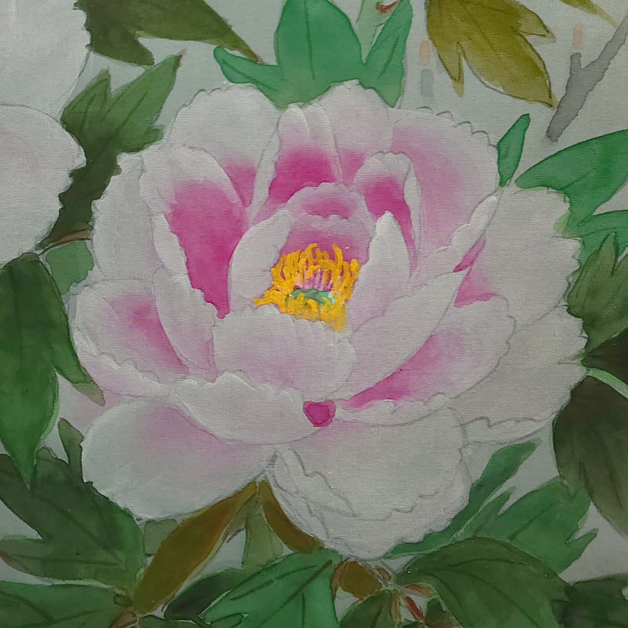 牡丹　Peony blossom