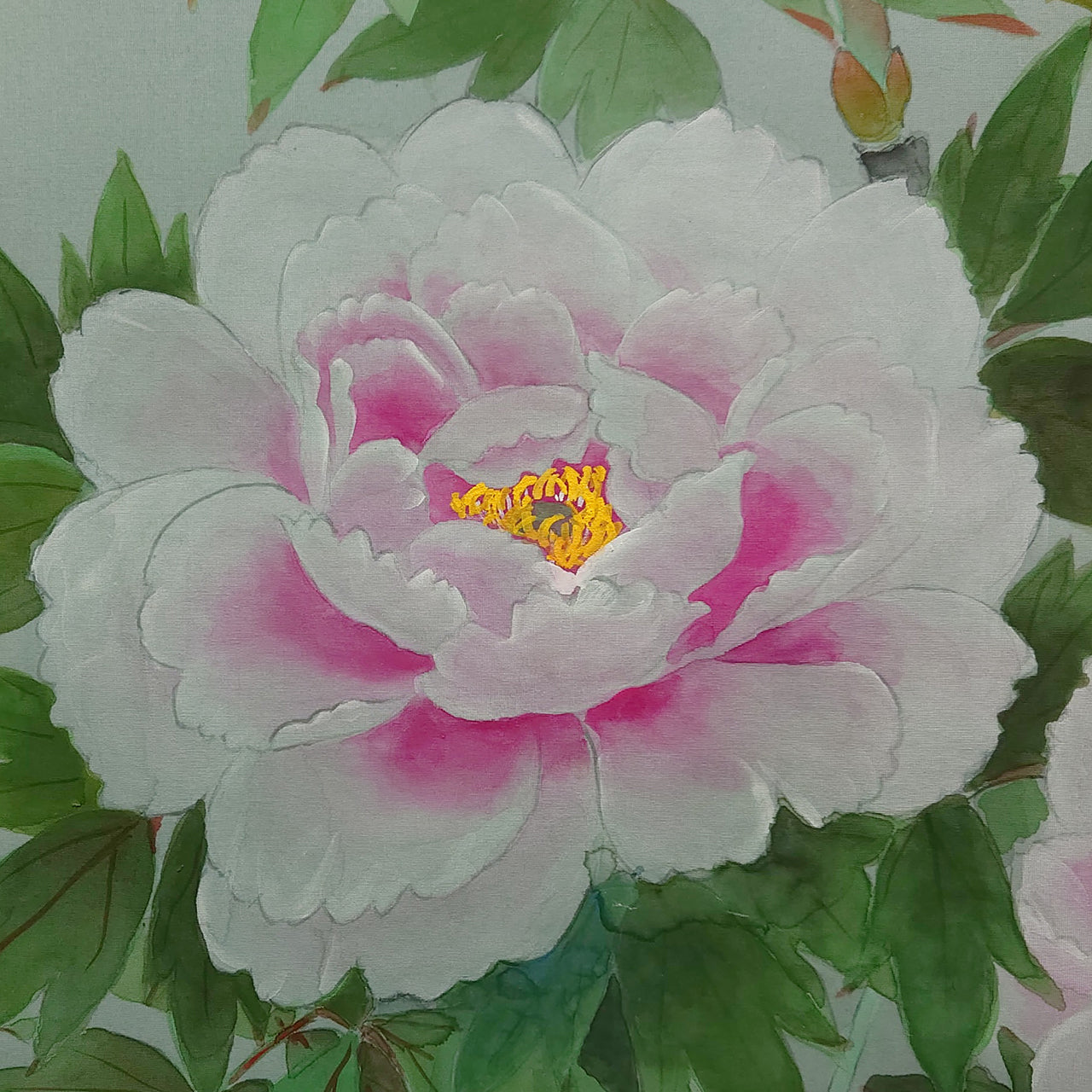 牡丹　Peony blossom