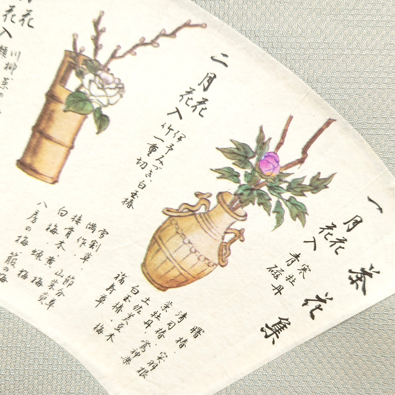 扇 茶花扇子　Seasonal Blooms