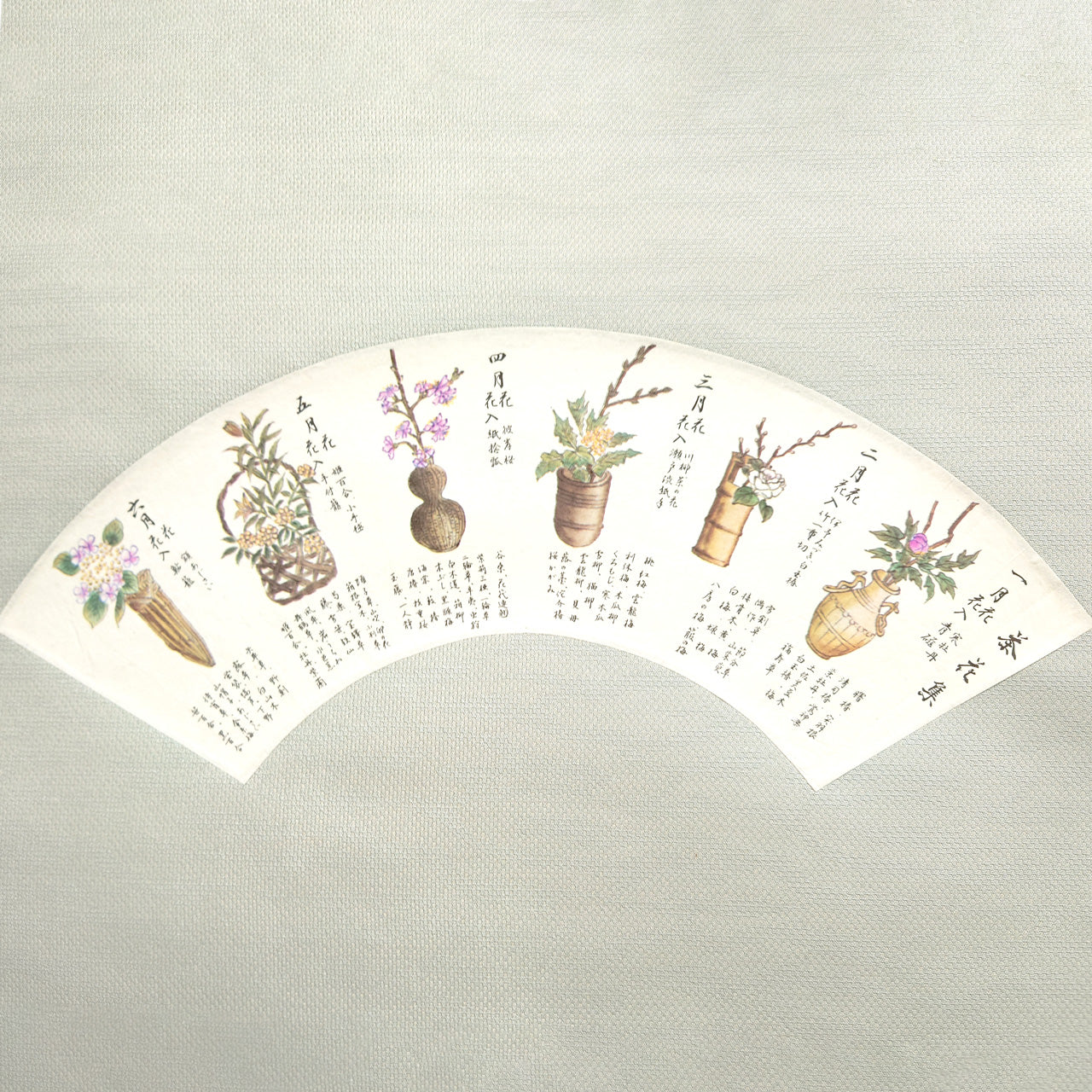 扇 茶花扇子　Seasonal Blooms