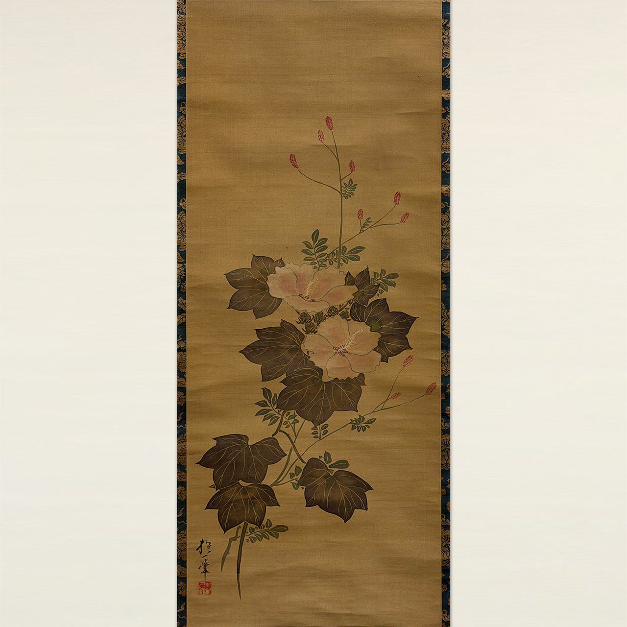 芙蓉図 / Cotton Rose Hibiscus