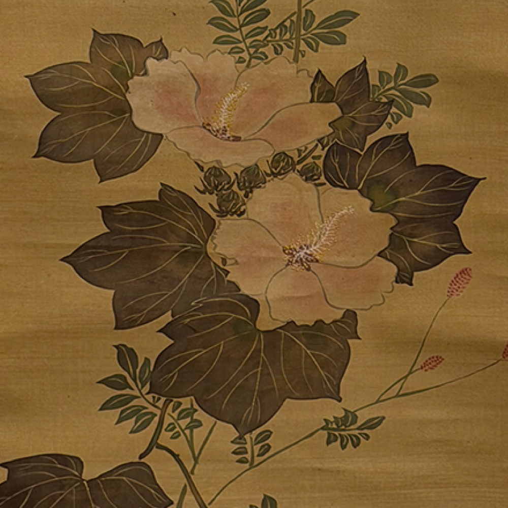芙蓉図 / Cotton Rose Hibiscus