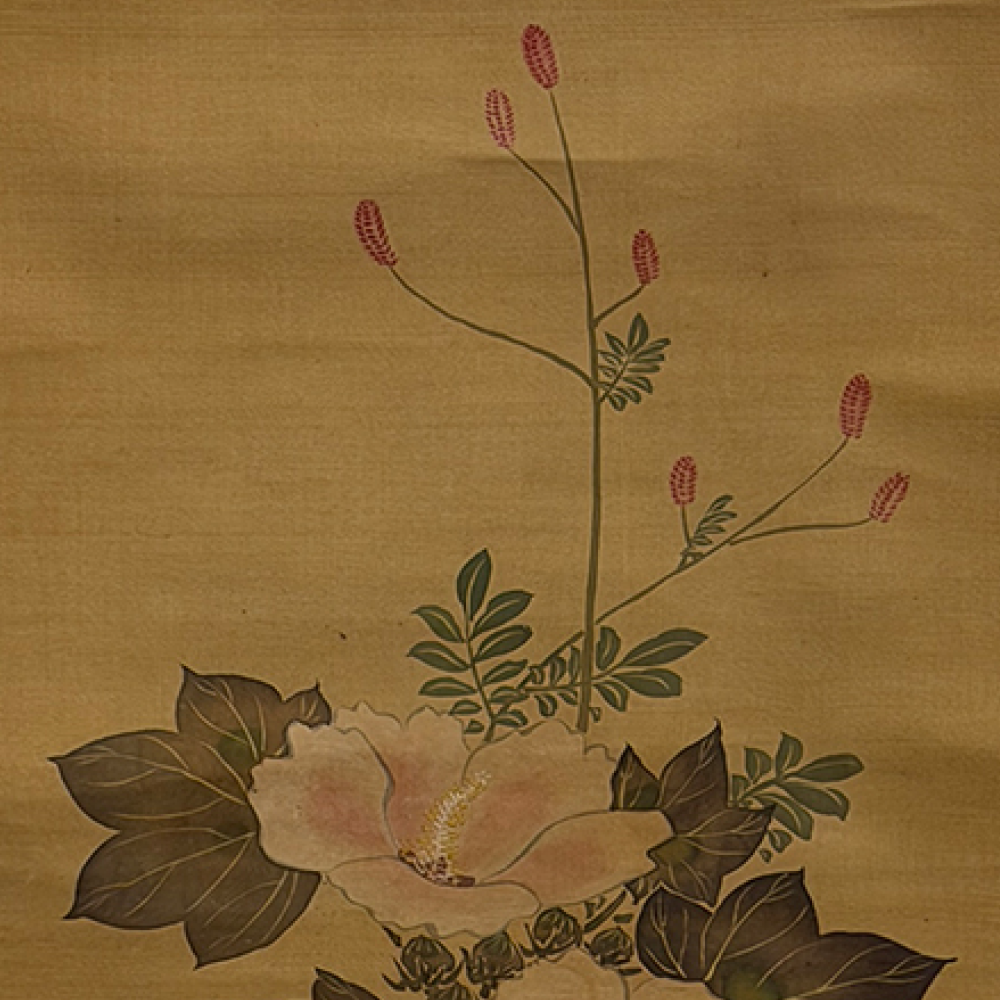 芙蓉図 / Cotton Rose Hibiscus