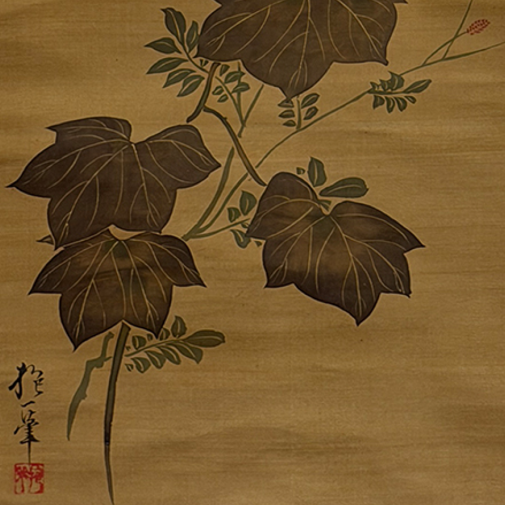 芙蓉図 / Cotton Rose Hibiscus