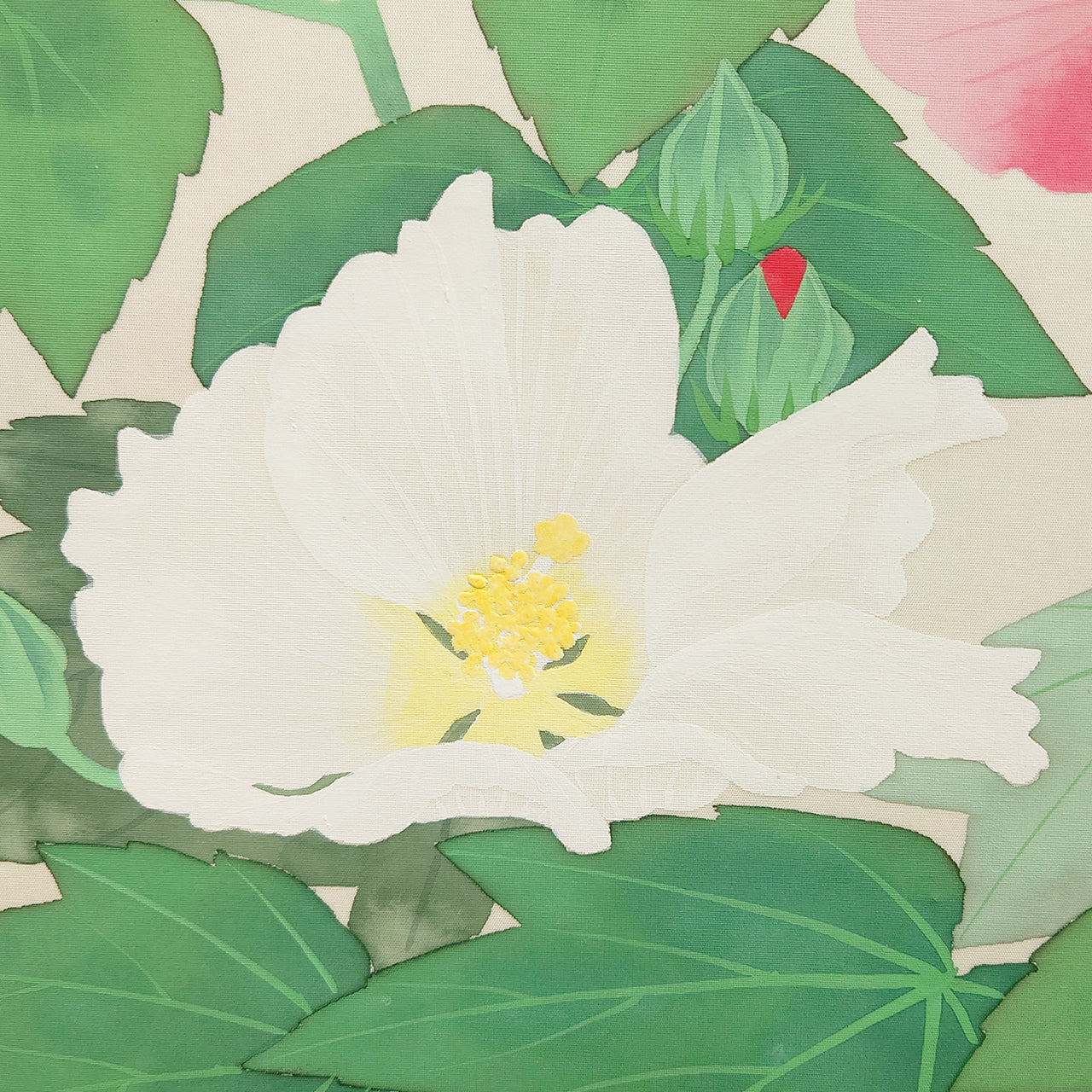 芙蓉　Confederate Rose Flower　/　K