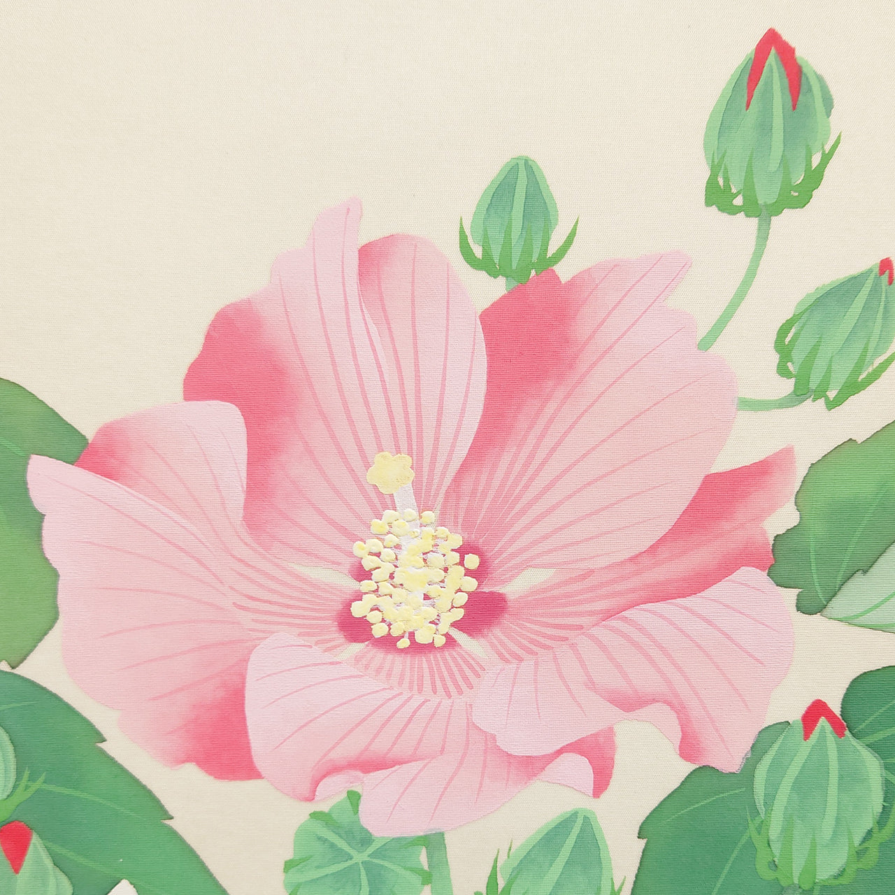芙蓉　Confederate Rose Flower　/　K