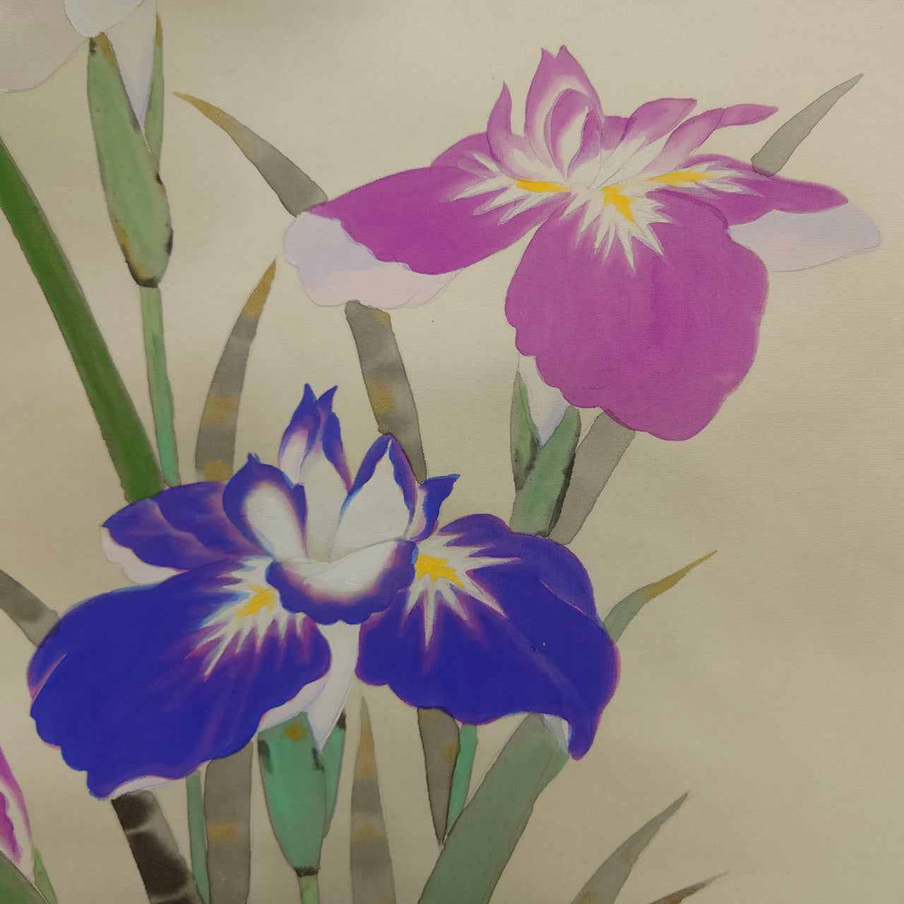 杜若　Iris　/　K