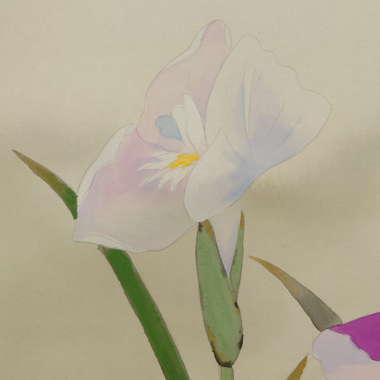 杜若　Iris　/　K