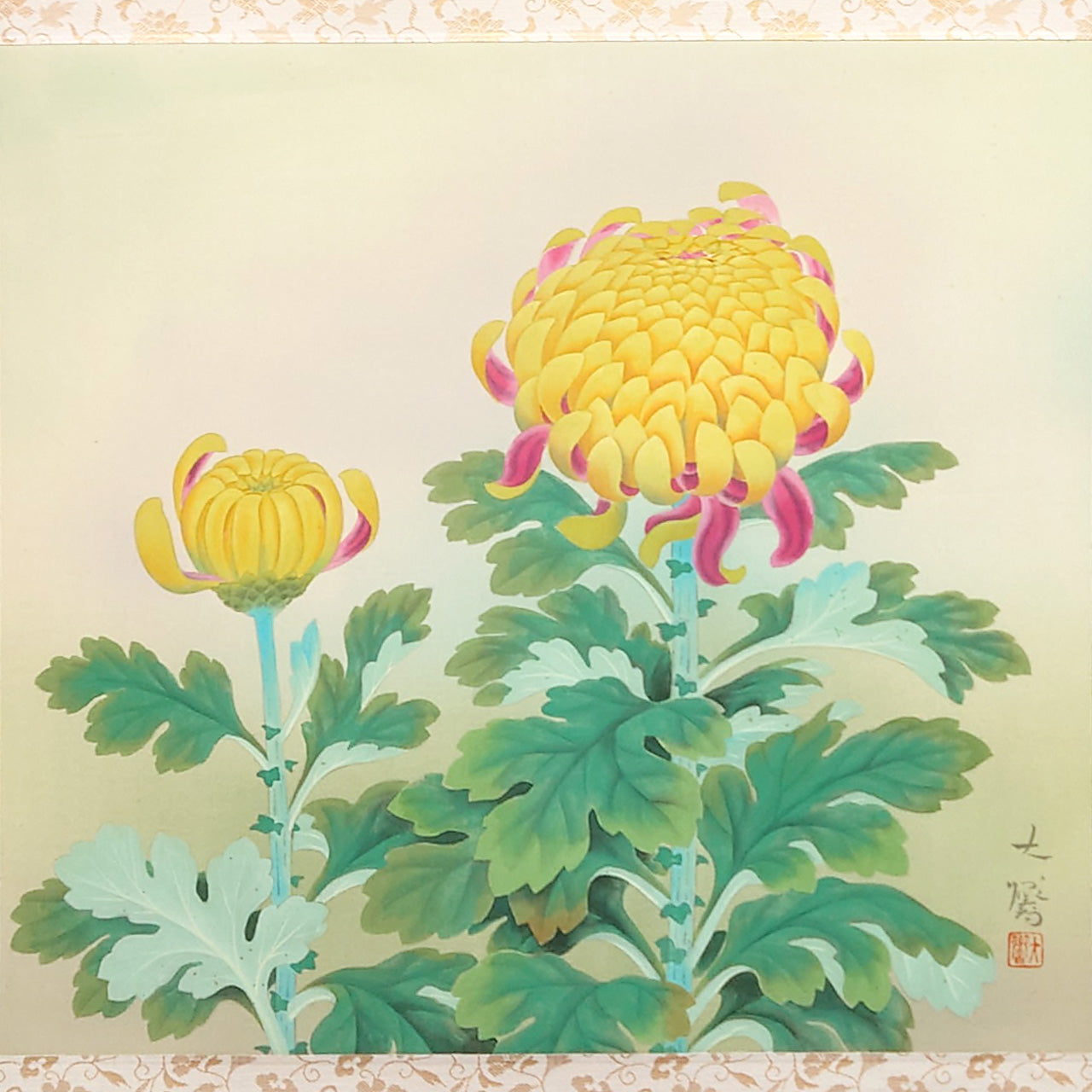 菊花　Chrysanthemum Flower　/　K