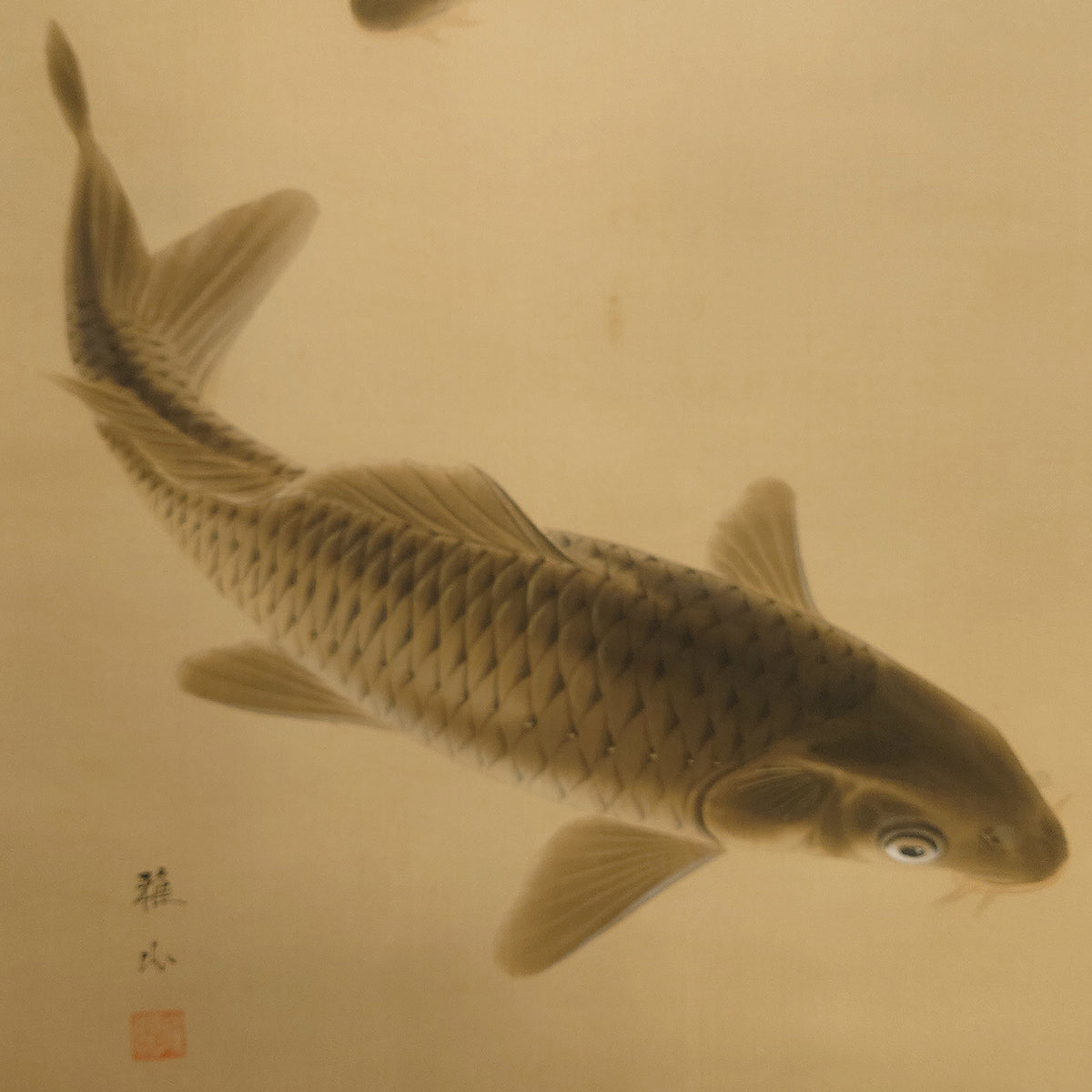 遊鯉 / Twin Carps