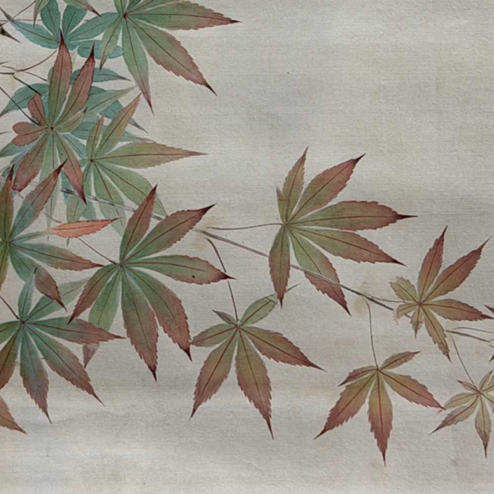 紅葉に小鳥 / Autumn Maples and Small Birds