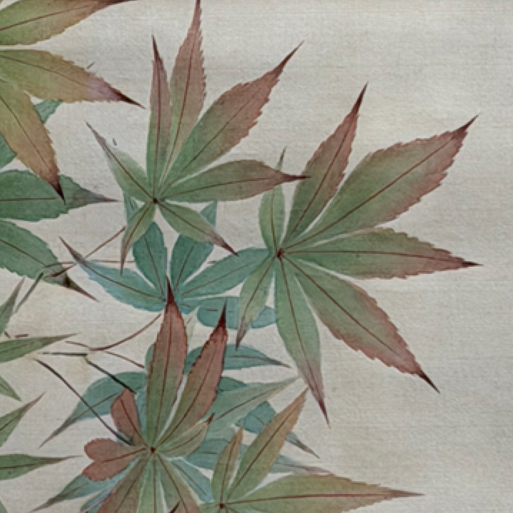 紅葉に小鳥 / Autumn Maples and Small Birds