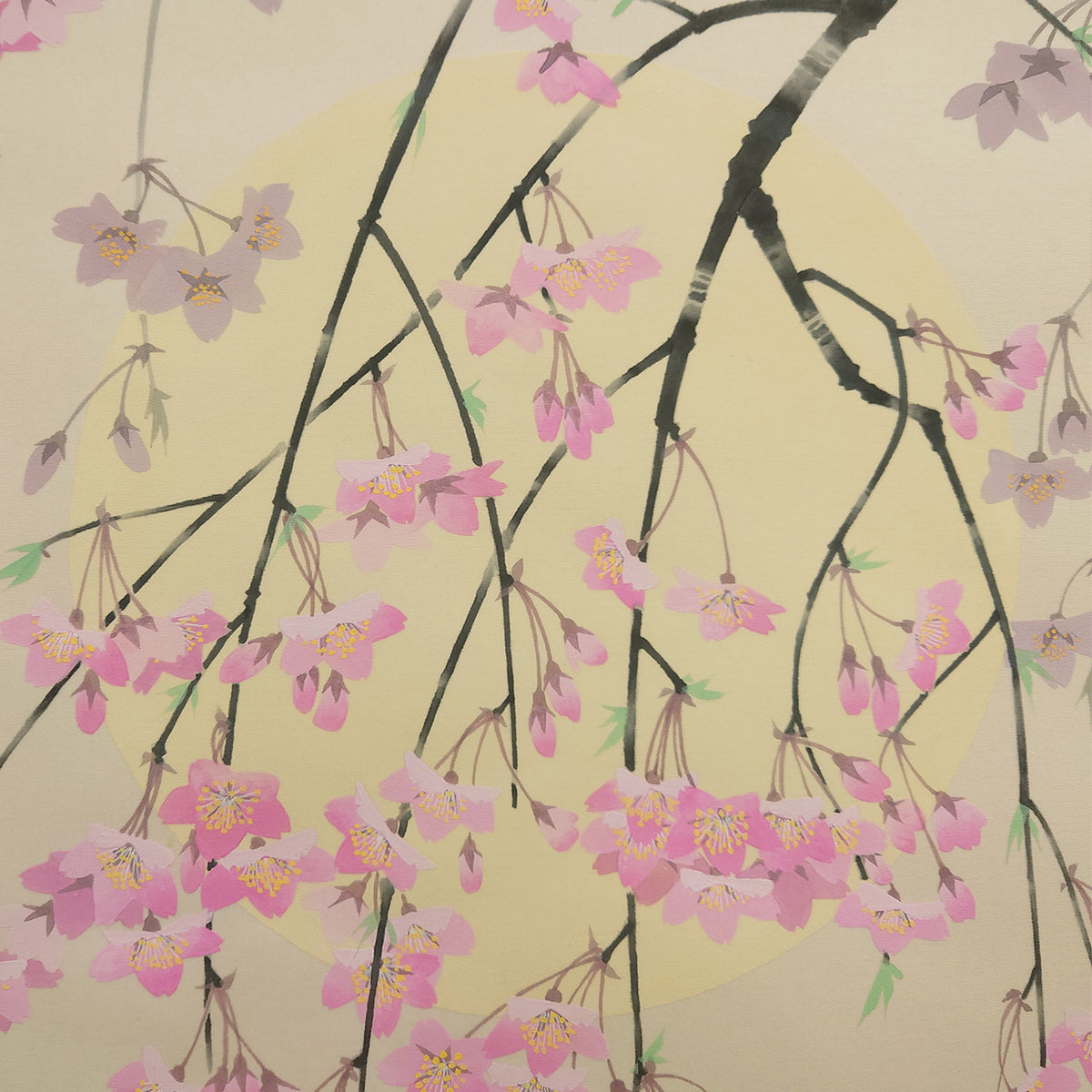 月に桜 / Moon and Cherry Blossoms
