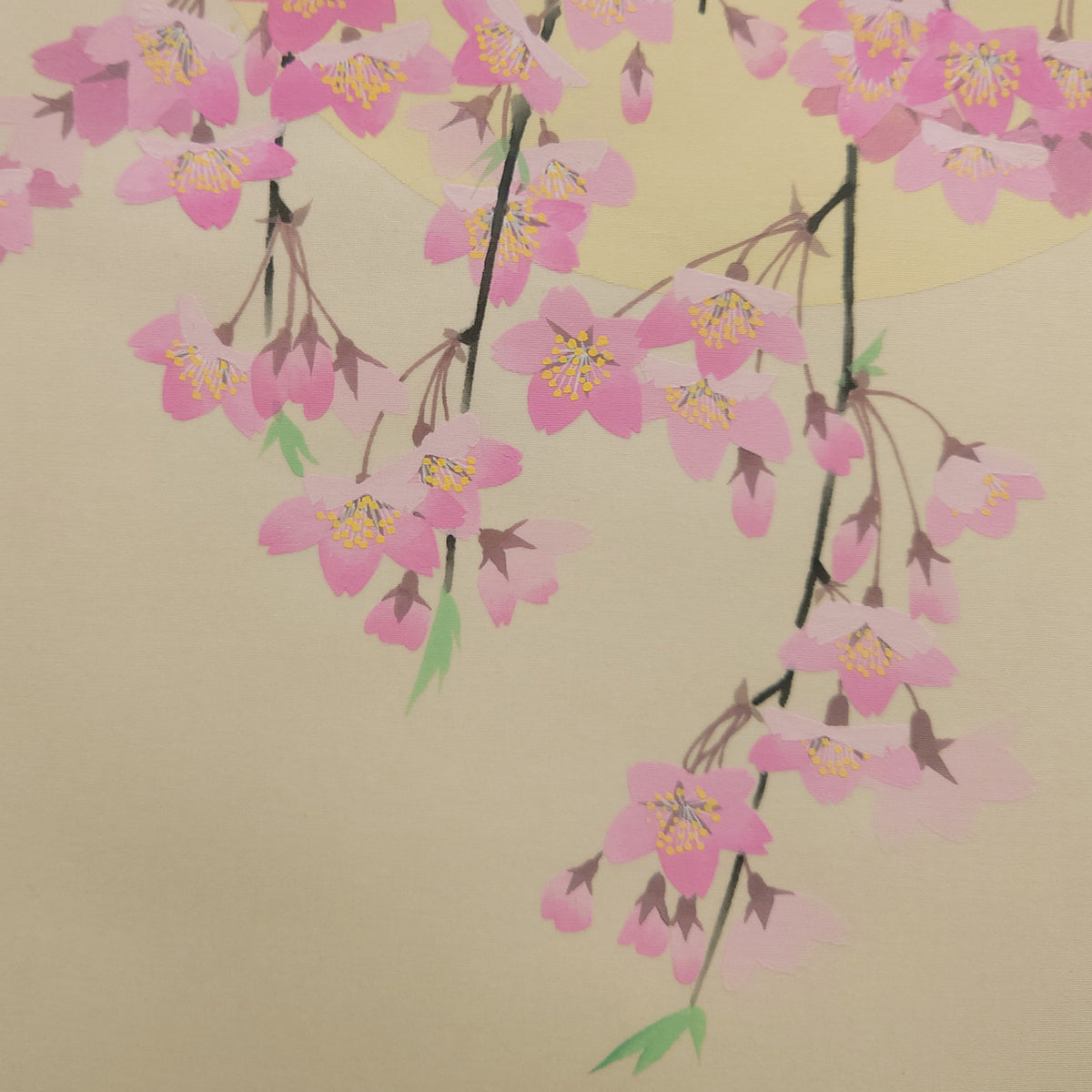 月に桜 / Moon and Cherry Blossoms
