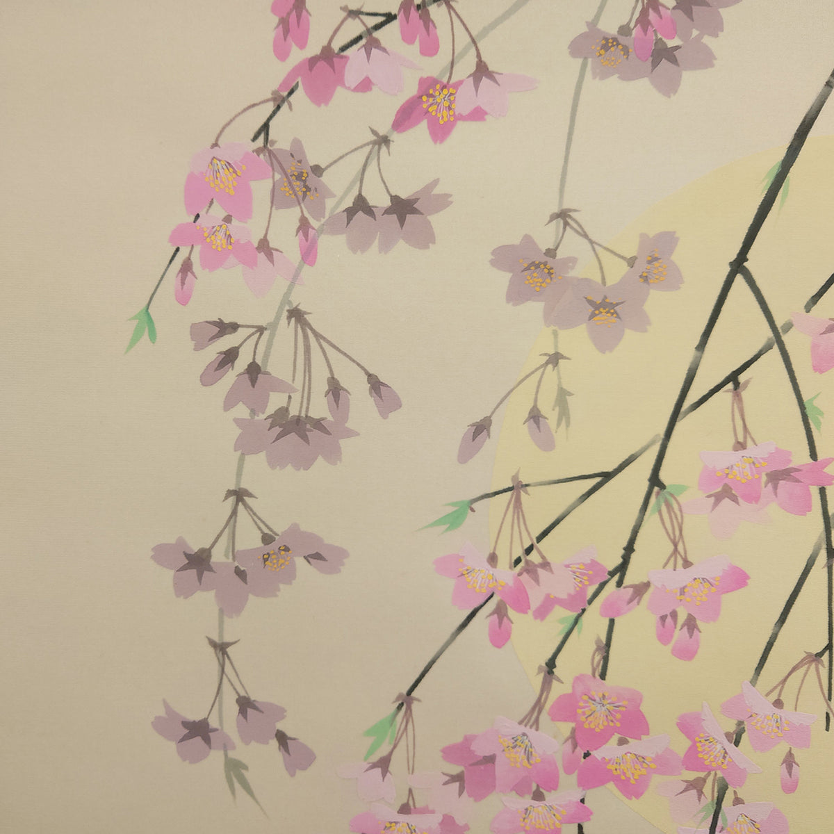月に桜 / Moon and Cherry Blossoms