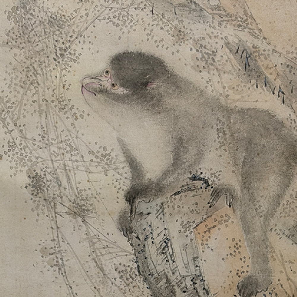 猿図 / Monkey on a Cliff