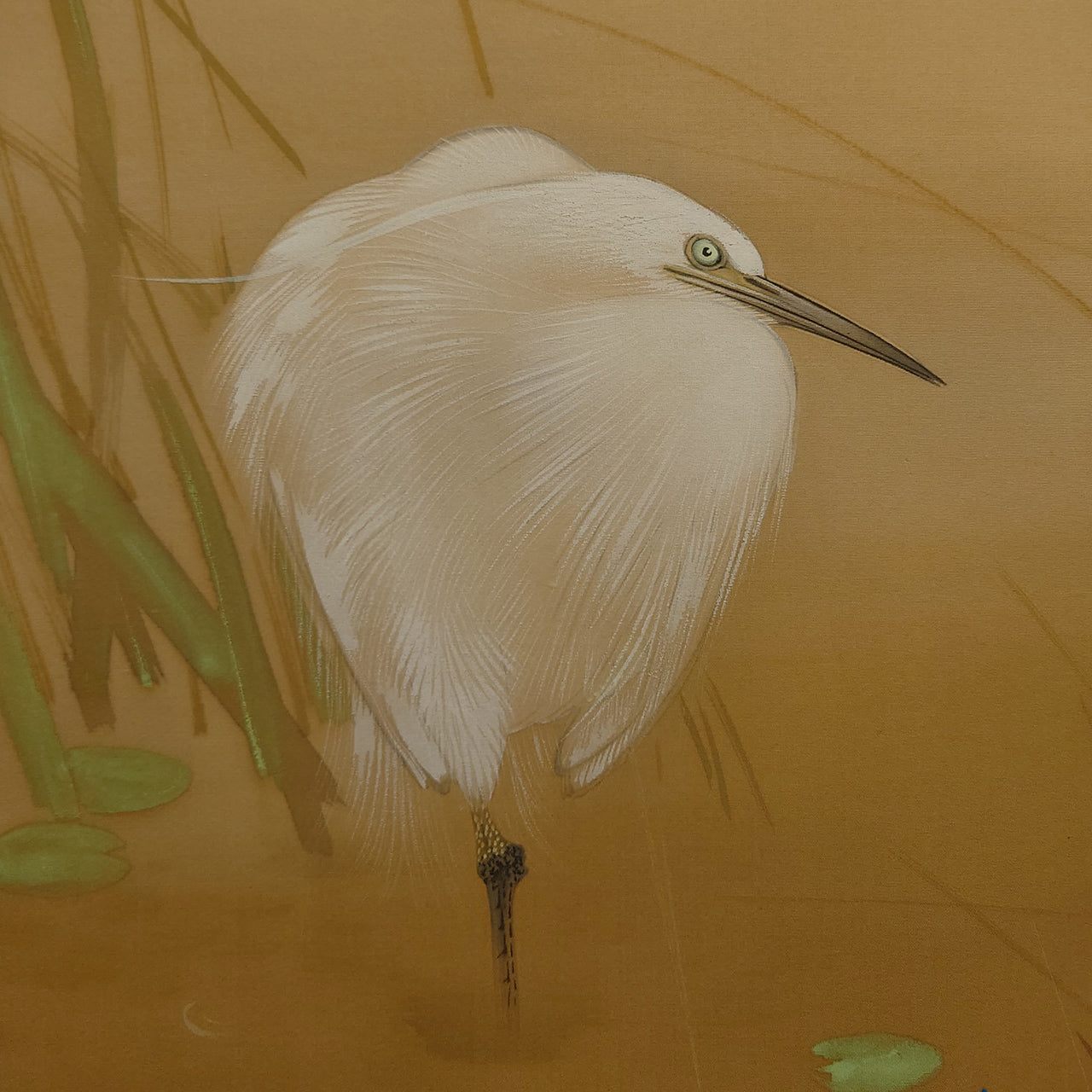 白鷺に杜若 / Heron and Iris