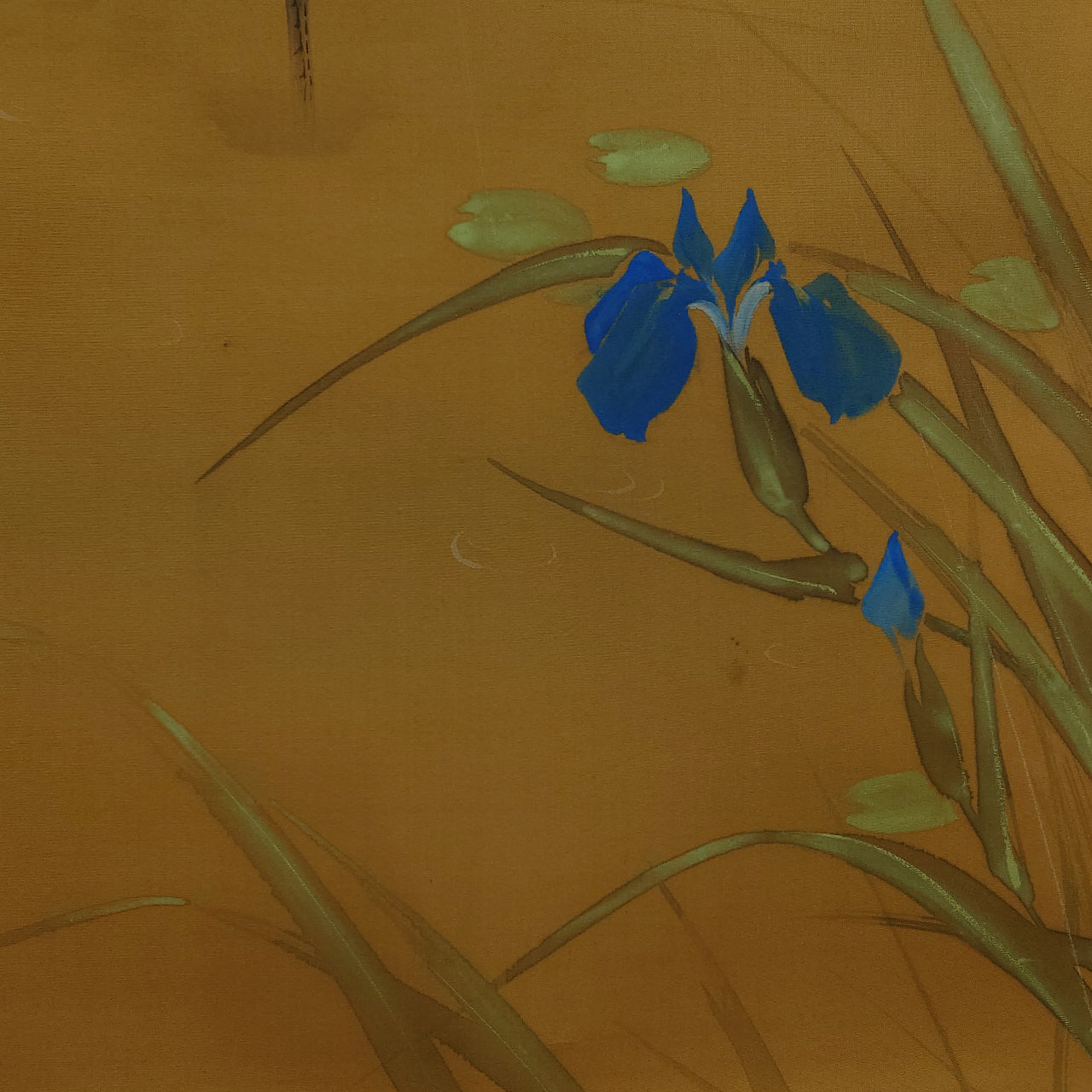 白鷺に杜若 / Heron and Iris