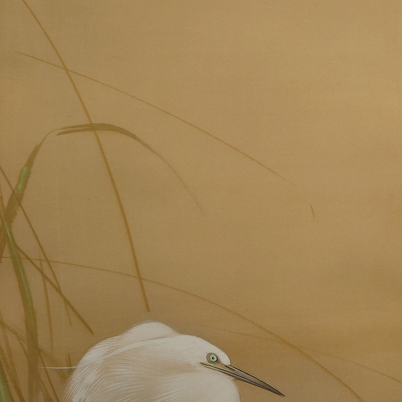 白鷺に杜若 / Heron and Iris
