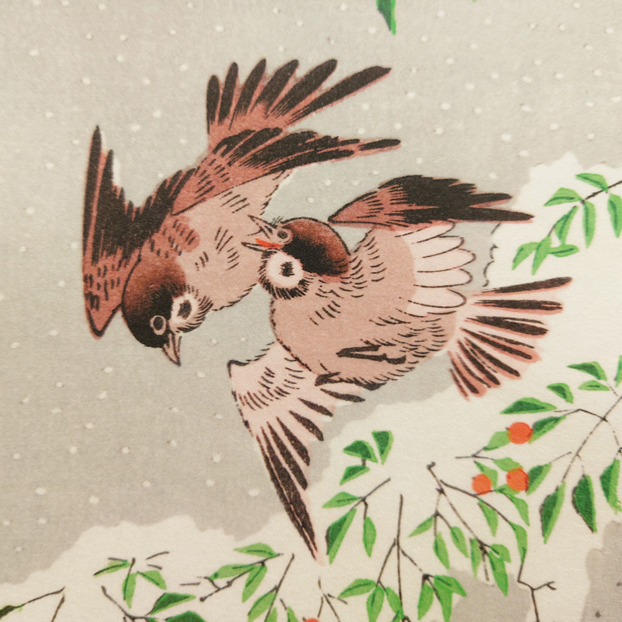 雪中南天に雀 / Sparrows on Nandina in Snow