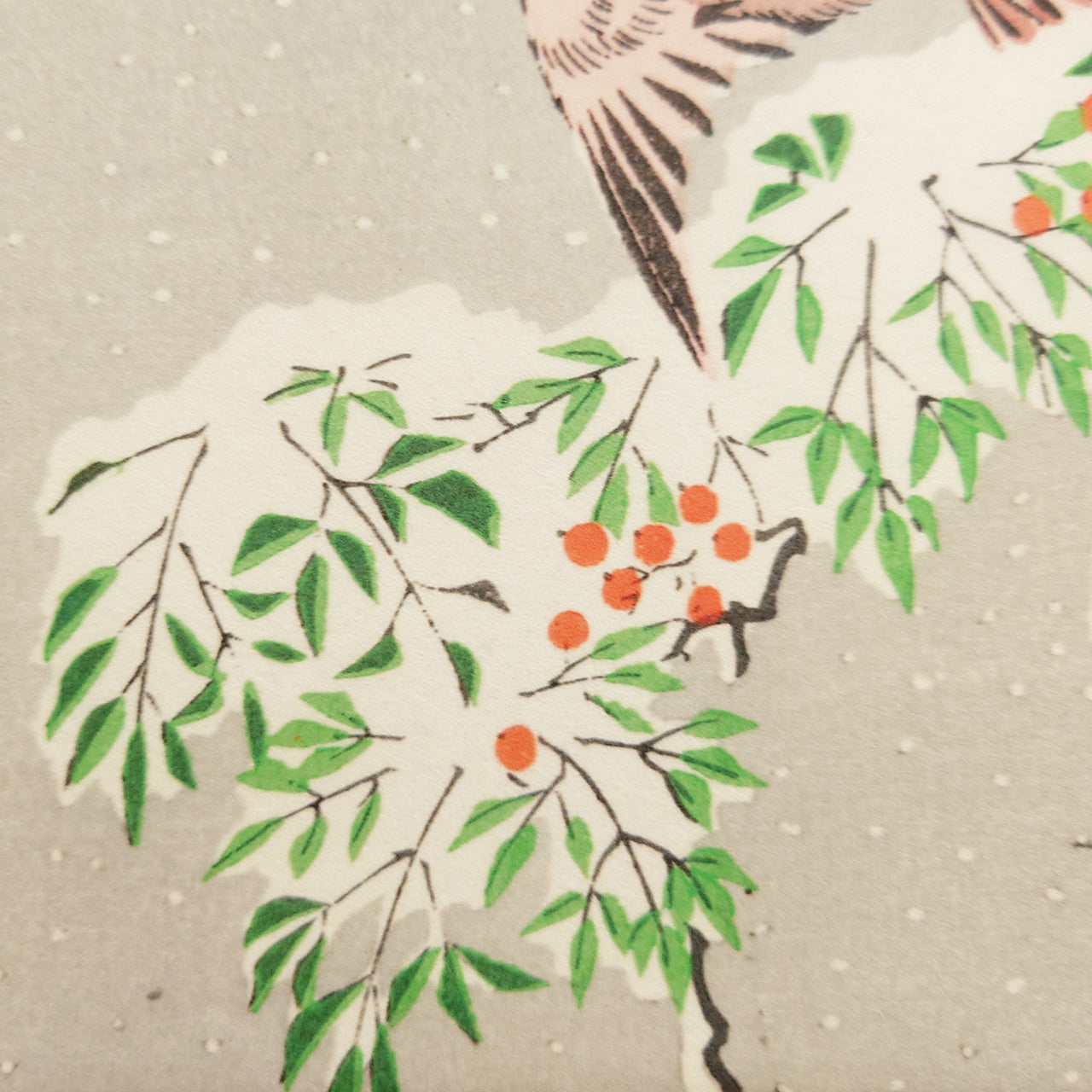 雪中南天に雀 / Sparrows on Nandina in Snow