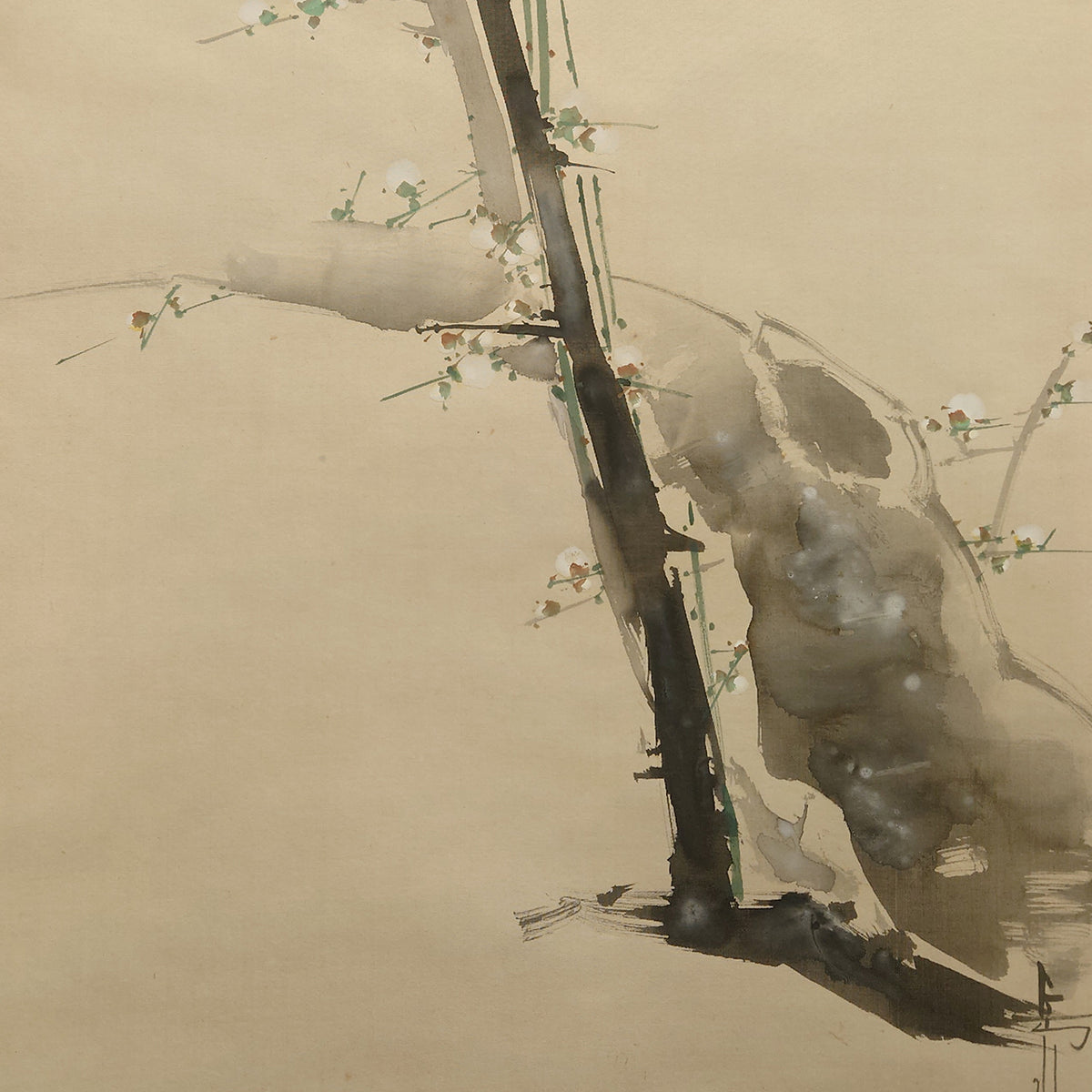 白梅 / White Plum