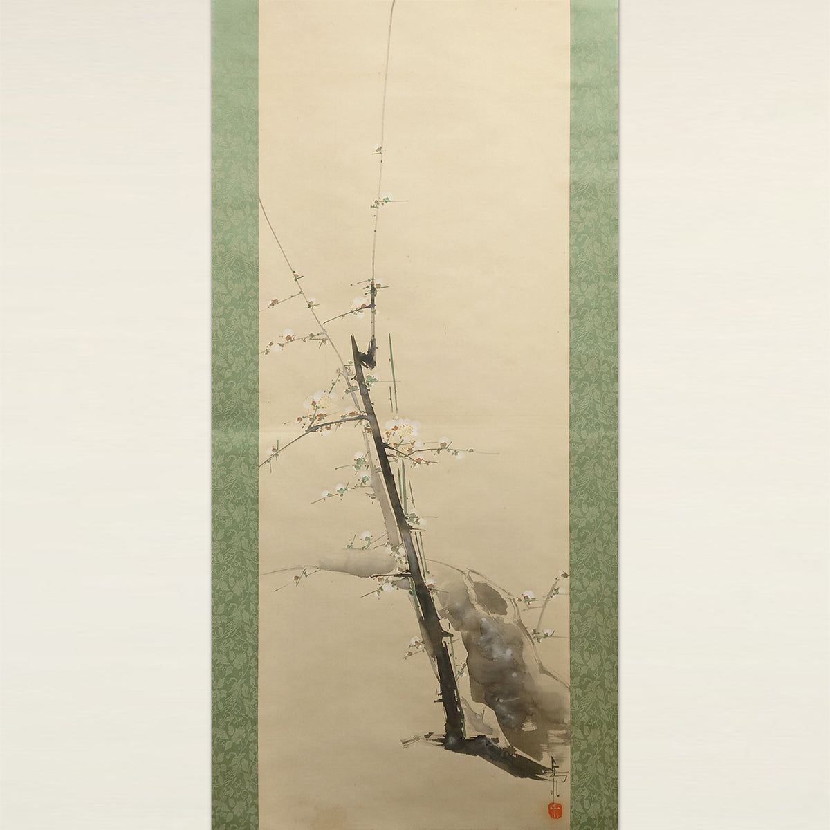 白梅 / White Plum