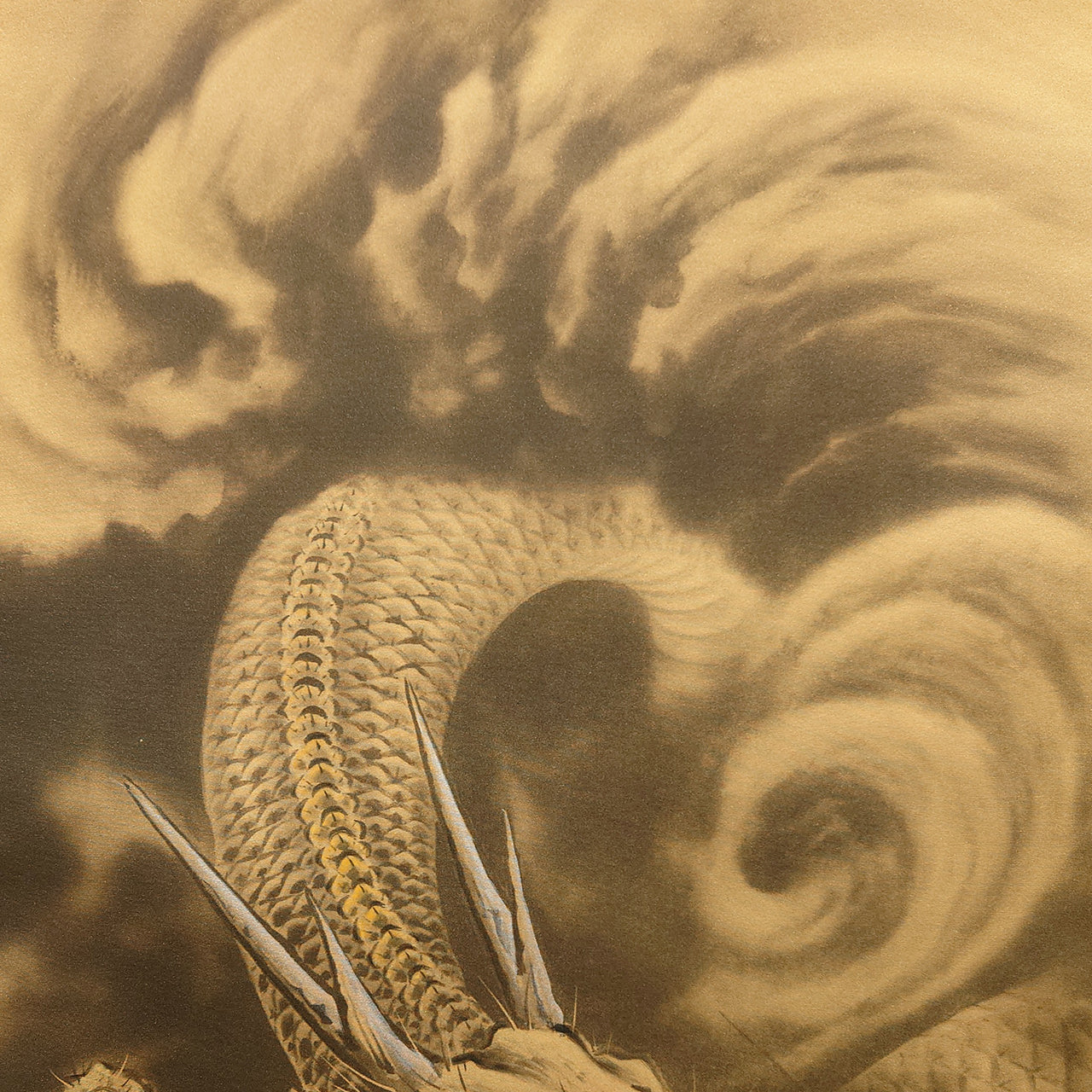 雲龍図 / Dragon in Clouds / 今井玲豊 IMAI Reihō